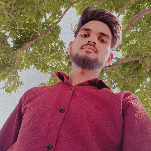 Vikash lodhi  profile photo