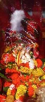 khushbu profile photo