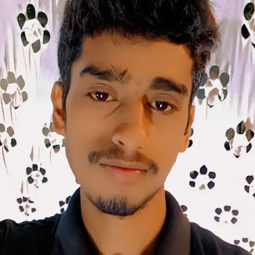 MD Sahil Khan  profile photo