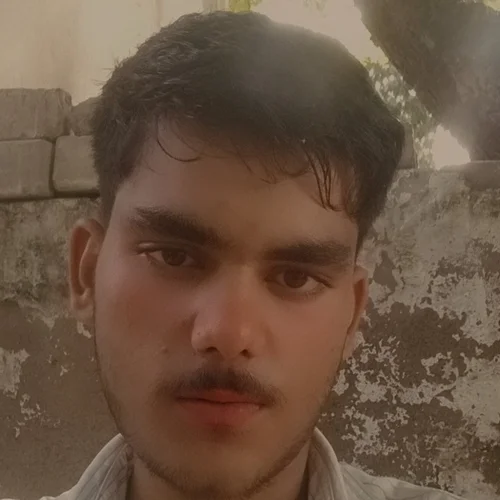Arman profile photo